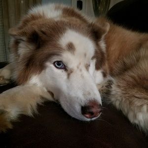 Meet your Posher, Corinna